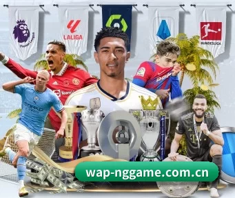 NG体育 APP 界面