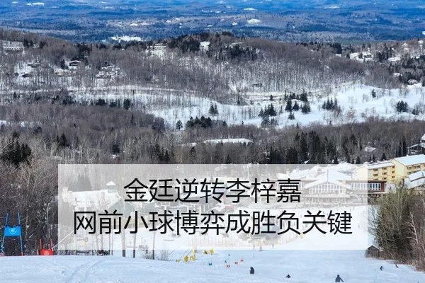 金廷逆转李梓嘉 网前小球博弈成胜负关键