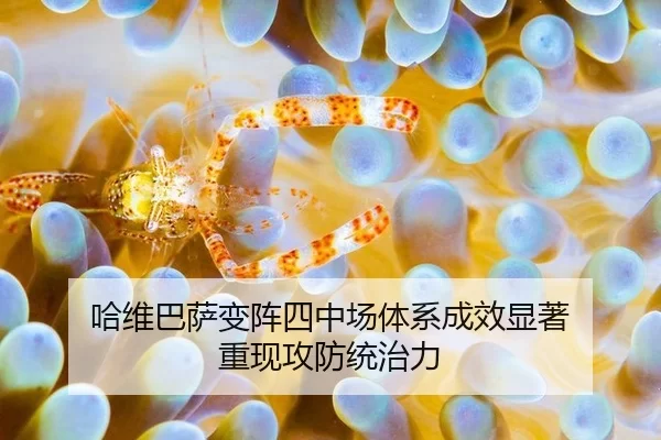 哈维巴萨变阵四中场体系成效显著 重现攻防统治力